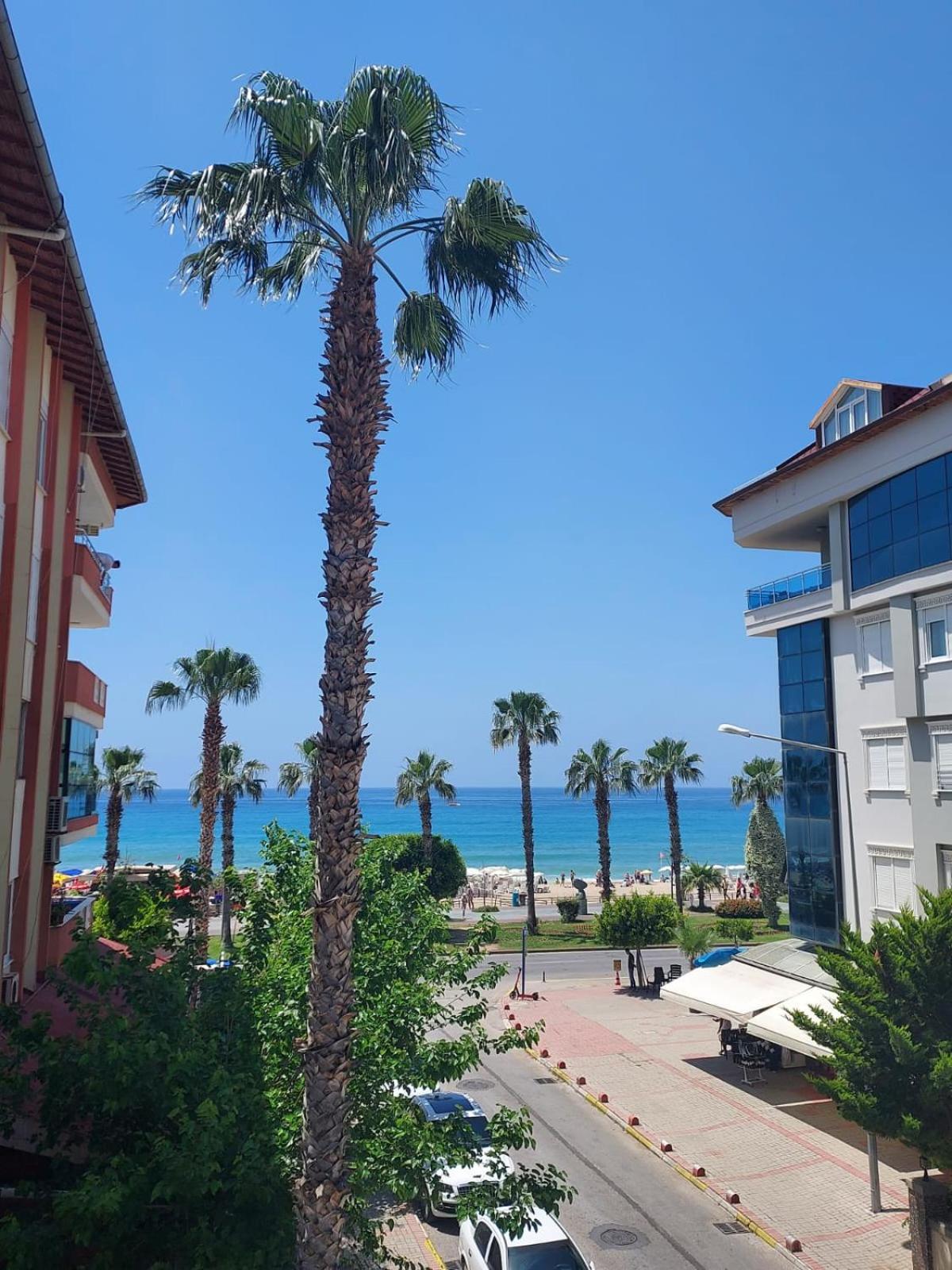 Kleopatra Sahara Hotel Alanya Kültér fotó